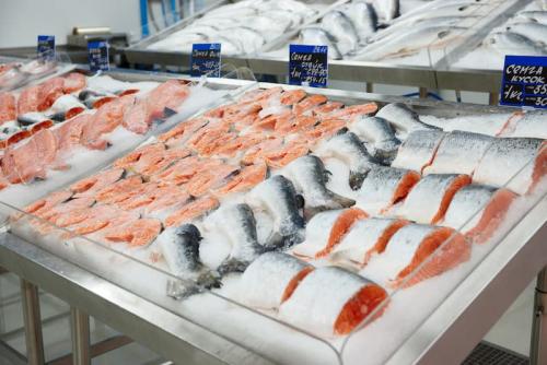 Fish Storage for Commercial Fishing