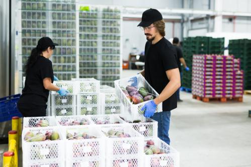 Containers facilitate safe food handling