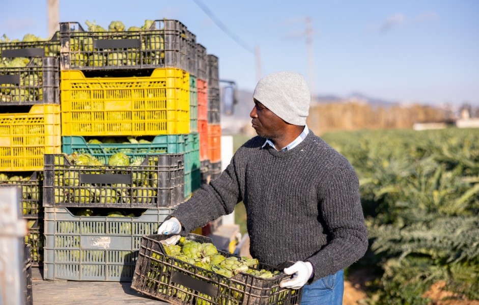 recycled plastic storage for growers