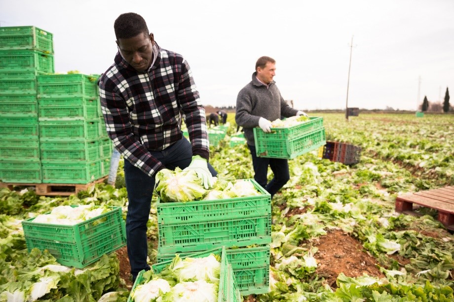 sustainable plastic storage for growers