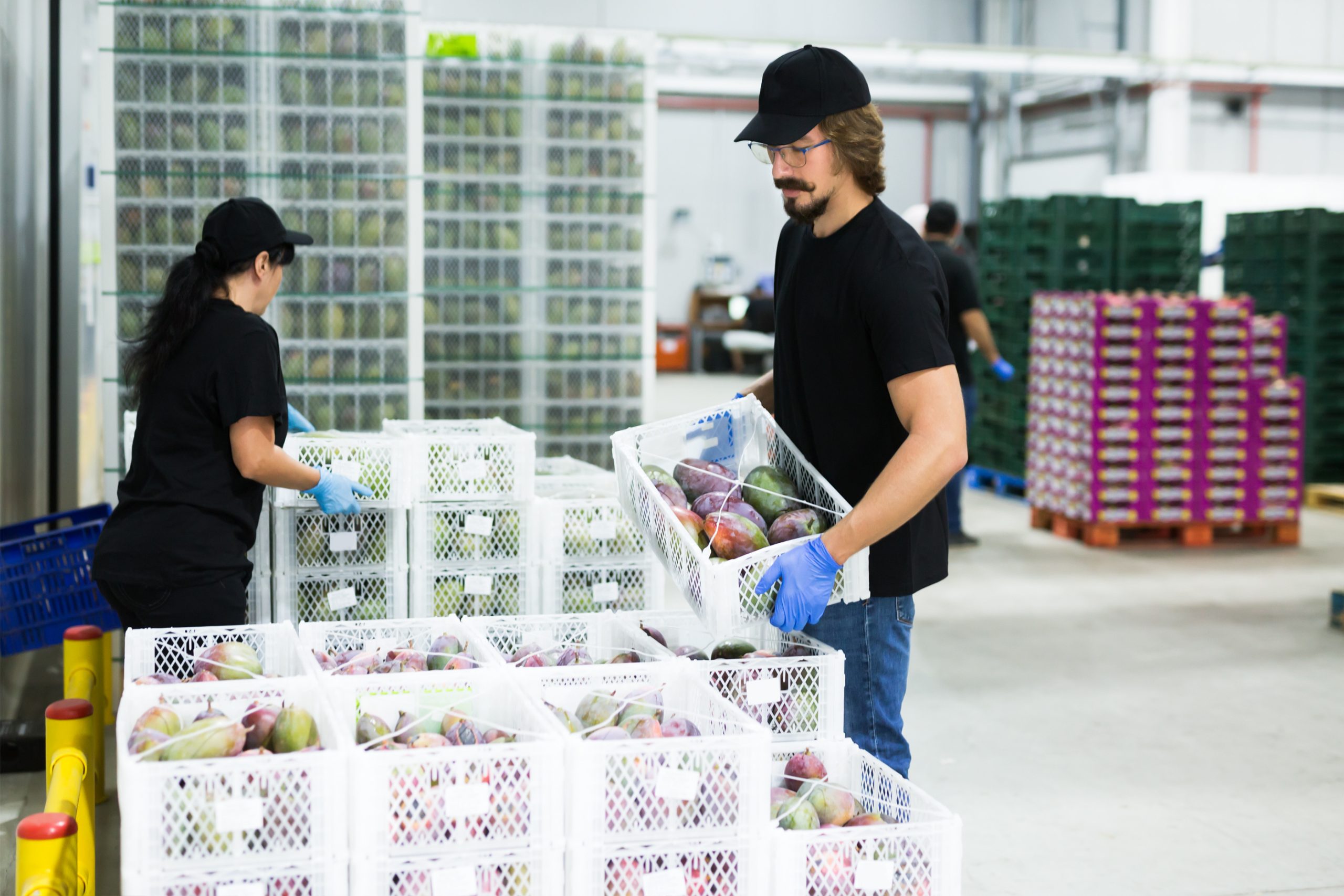 Food grade handling containers