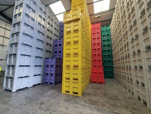 A guide to plastic pallet boxes for shipping and logistics